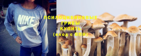 метадон Мегион