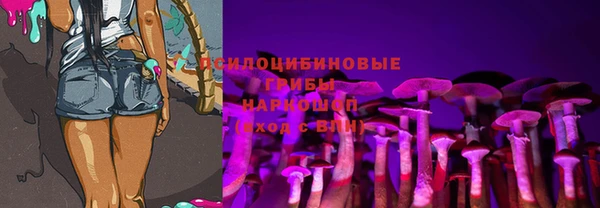 метадон Мегион