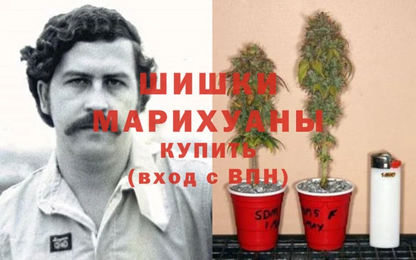 метадон Мегион