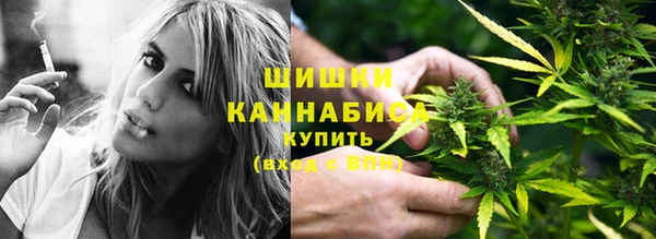 индика Долгопрудный