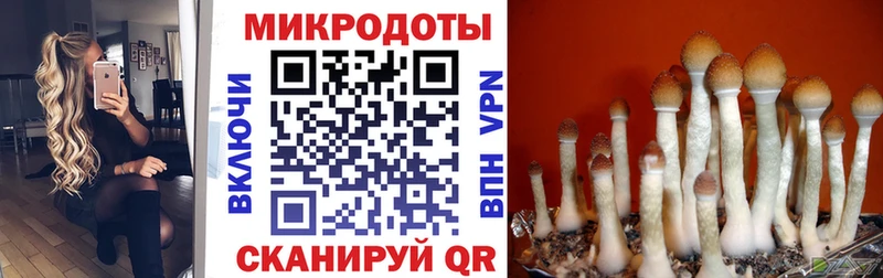 Галлюциногенные грибы мицелий  наркошоп  Шадринск 