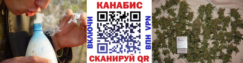 МАРИХУАНА ГИДРОПОН  Шадринск 